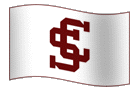 Team Flag