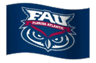 Team Flag