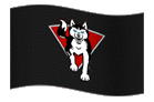 Team Flag