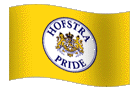 Team Flag
