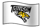 Team Flag