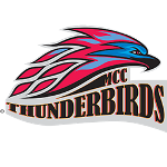 Mesa Team Logo