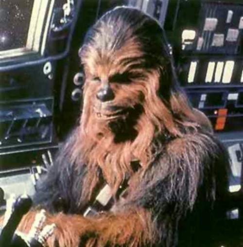 Image of Chewbacca