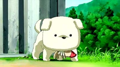 Image of Potato