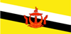 Flag of Brunei Darussalam